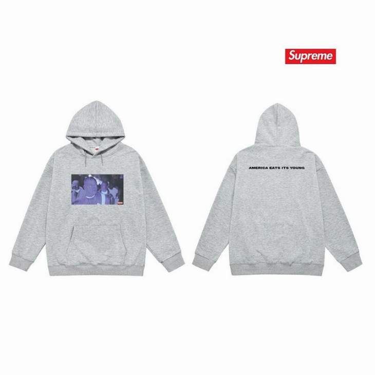 Picture of Supreme Hoodies _SKUSupremeS-2XLthtxS22466191